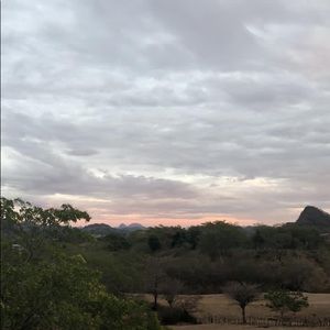 Meet your Posher, Millie